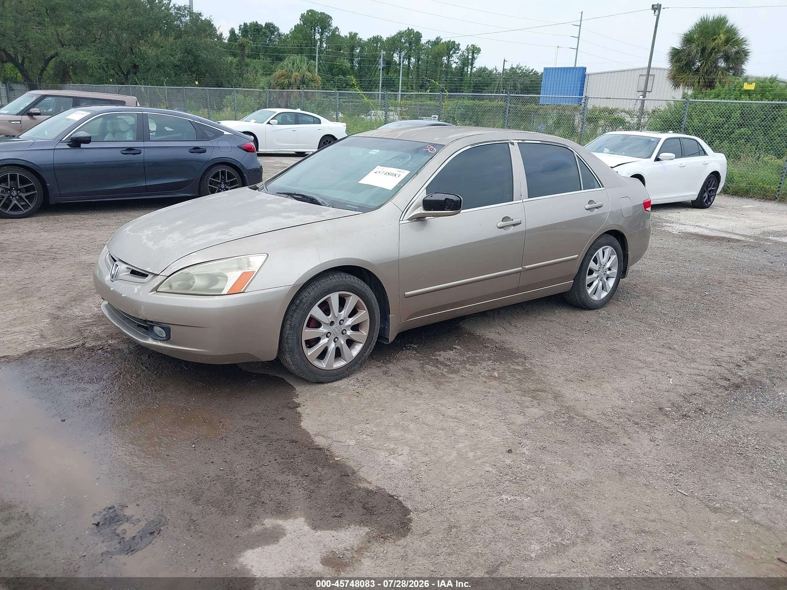 2003 Honda Accord 3.0 Lx Cream vin: 1HGCM66373A031056