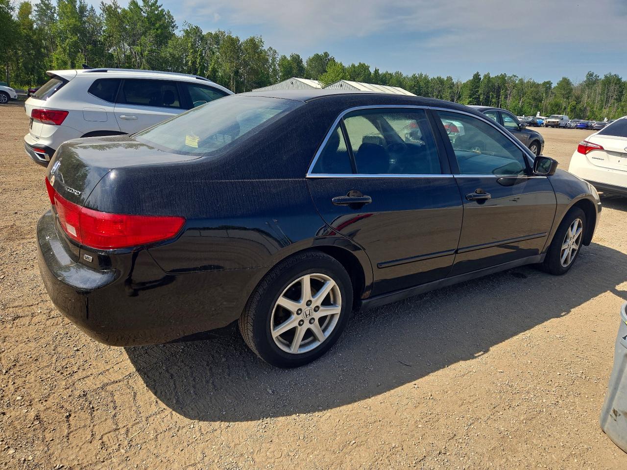 2005 Honda Accord Lx Black vin: 1HGCM66375A800156