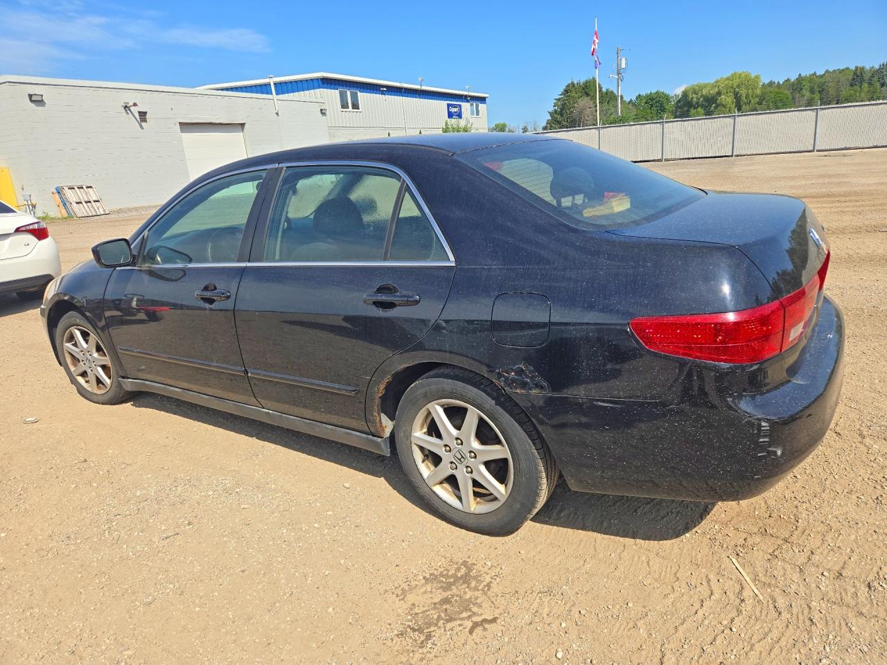 2005 Honda Accord Lx Black vin: 1HGCM66375A800156