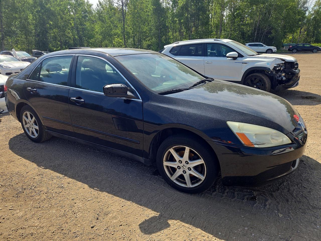 2005 Honda Accord Lx Black vin: 1HGCM66375A800156