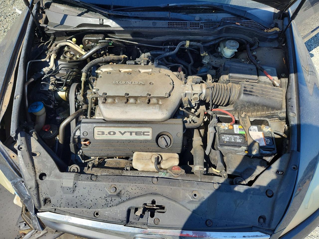2007 Honda Accord Se Blue vin: 1HGCM66417A049485