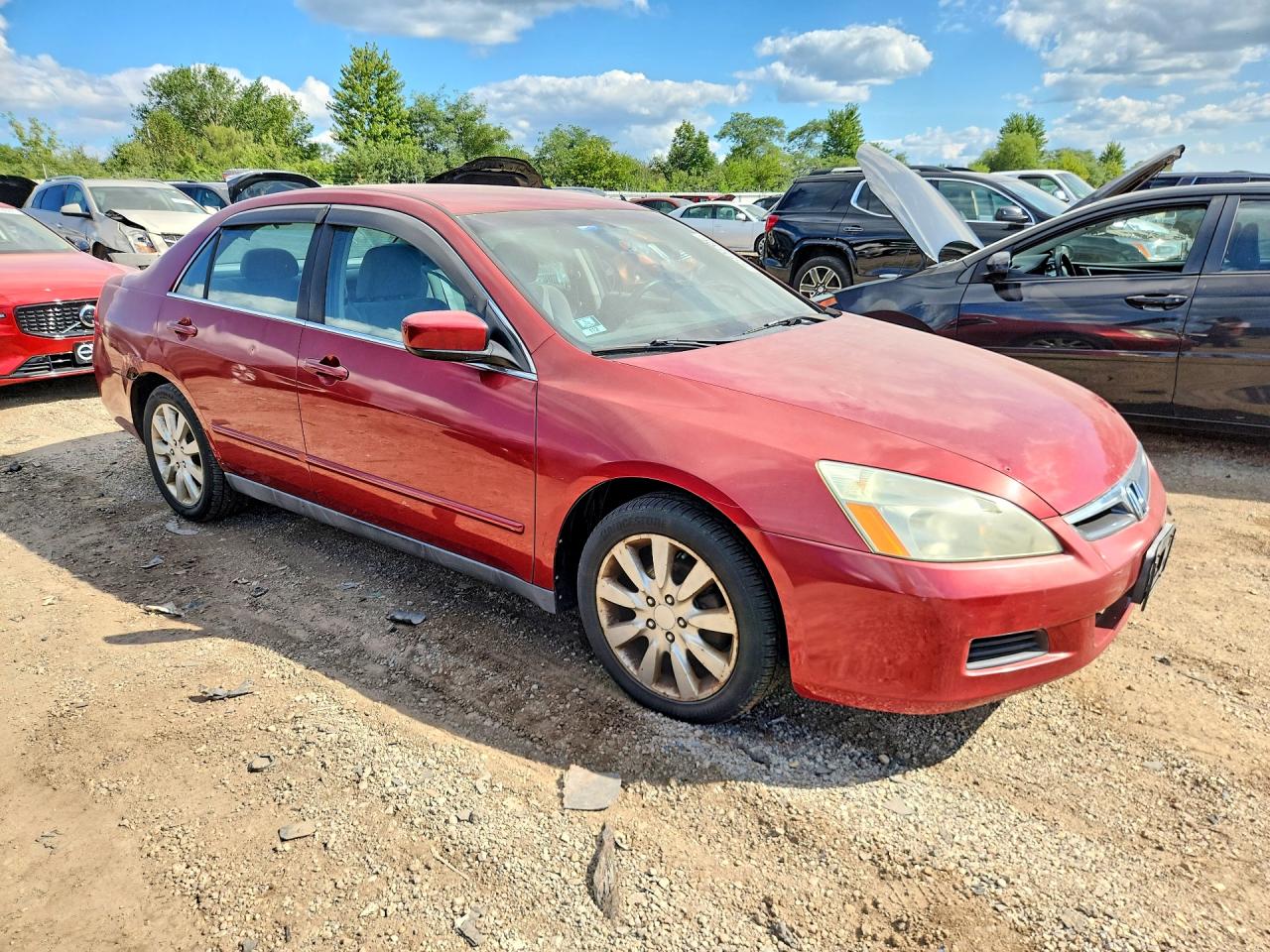 2007 Honda Accord Se Красный vin: 1HGCM66417A071812
