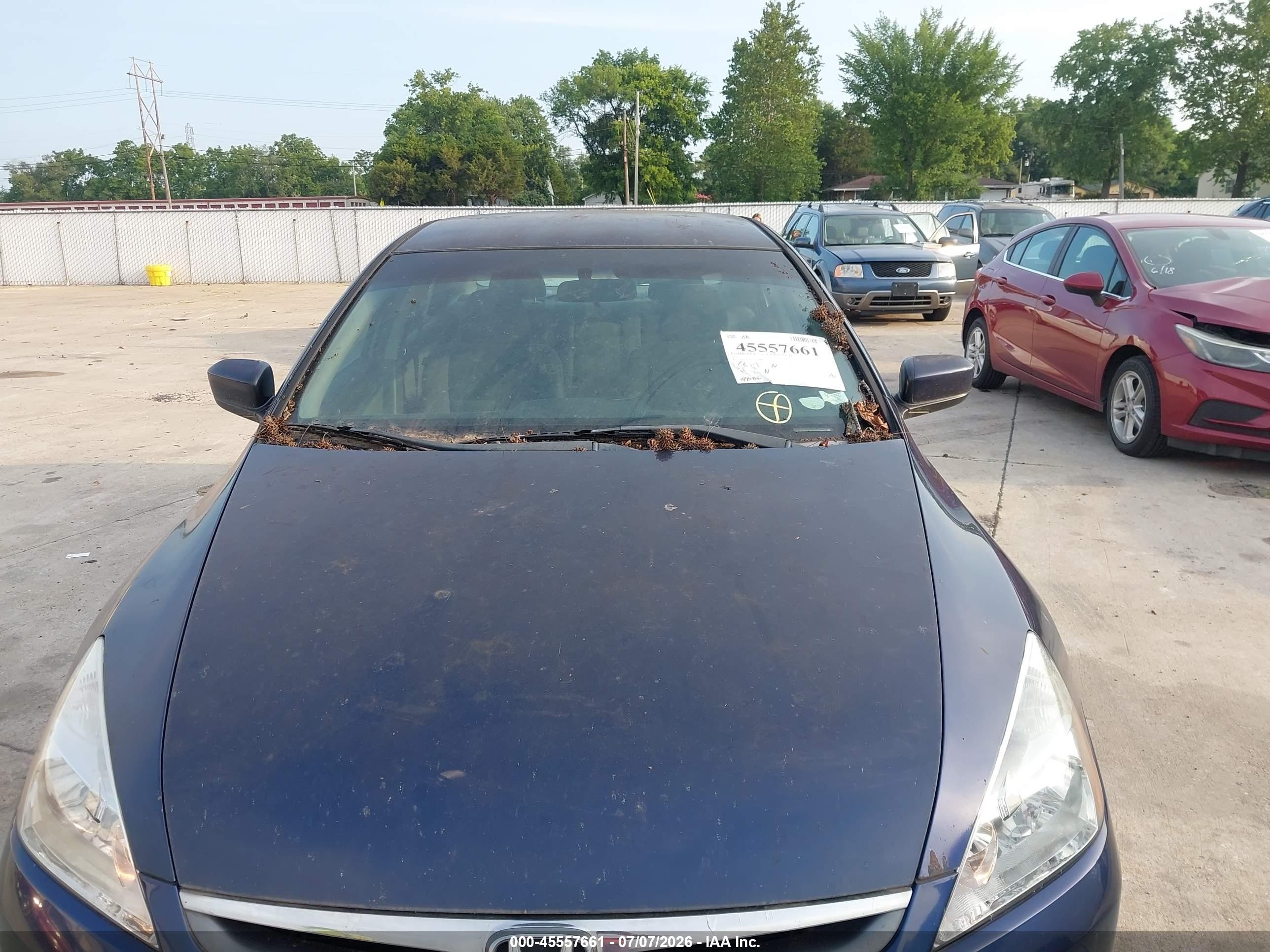 2007 Honda Accord 3.0 Se Blue vin: 1HGCM66437A079863