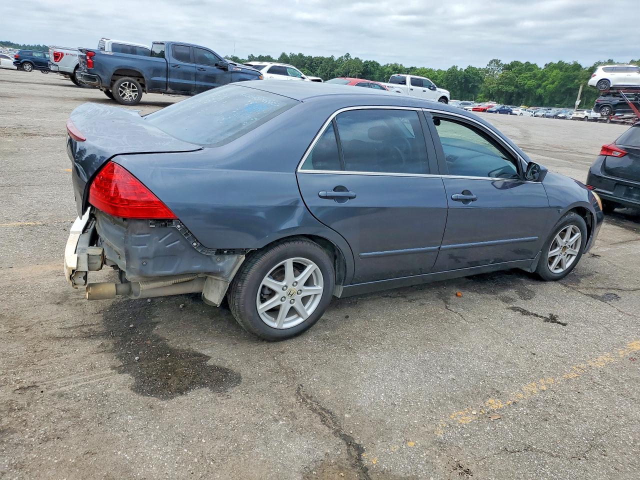 2007 Honda Accord Se Gray vin: 1HGCM66457A056830