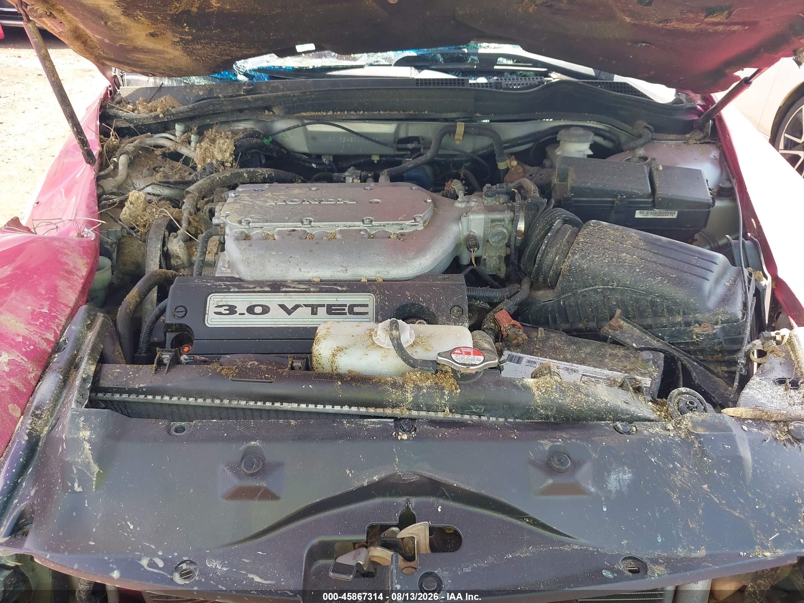 2007 Honda Accord 3.0 Se Pink vin: 1HGCM66487A070897