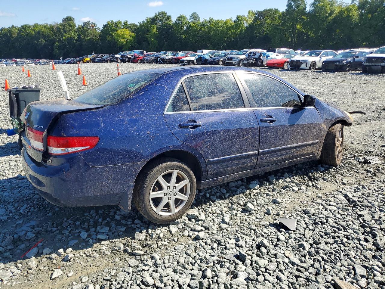 2003 Honda Accord Ex Blue vin: 1HGCM66503A023429