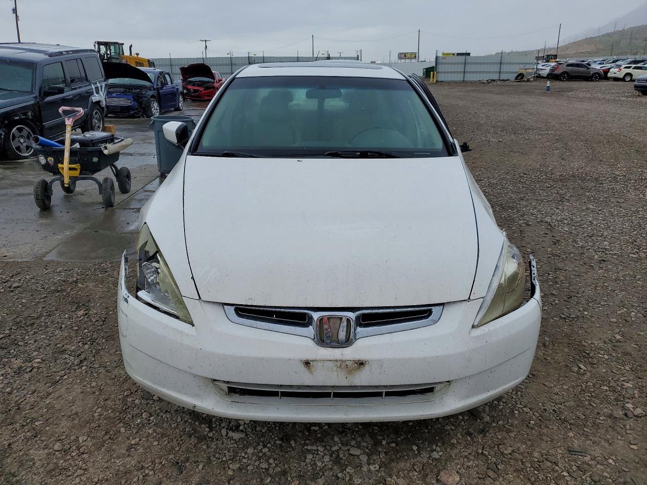 2004 Honda Accord Ex Белый vin: 1HGCM66504A044878