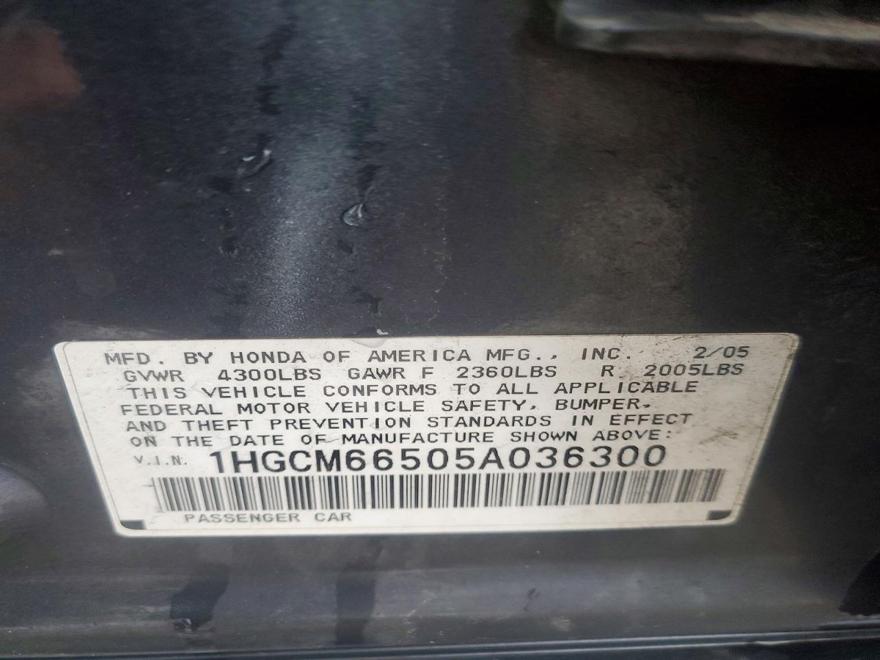 2005 Honda Accord Ex Gray vin: 1HGCM66505A036300