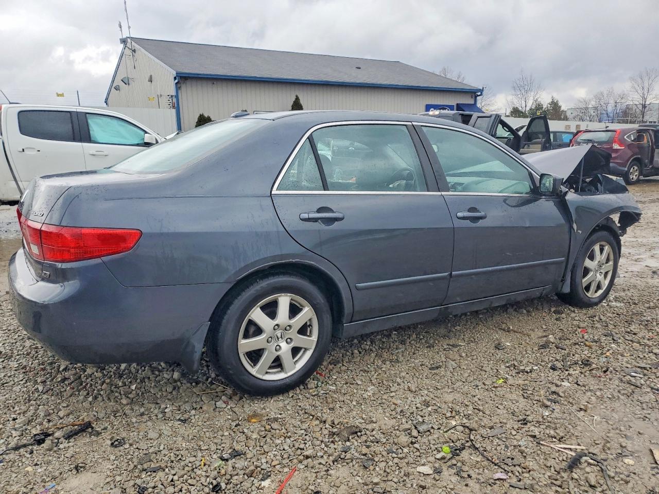 2005 Honda Accord Ex Gray vin: 1HGCM66505A036300