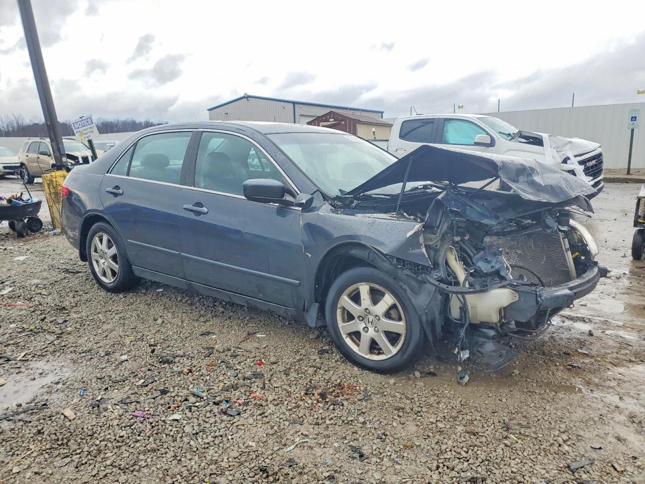 2005 Honda Accord Ex Gray vin: 1HGCM66505A036300