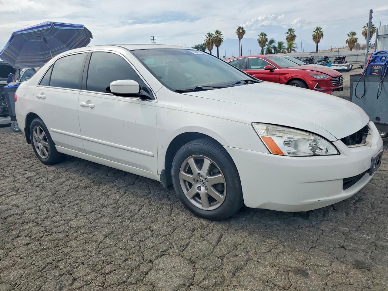 2005 Honda Accord Ex White vin: 1HGCM66505A039889