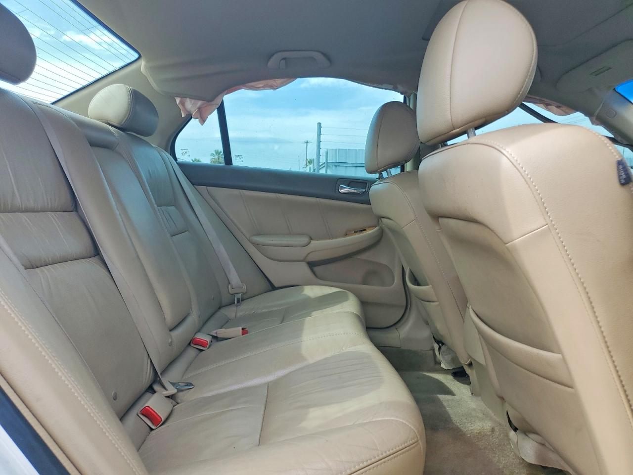 2005 Honda Accord Ex White vin: 1HGCM66505A039889