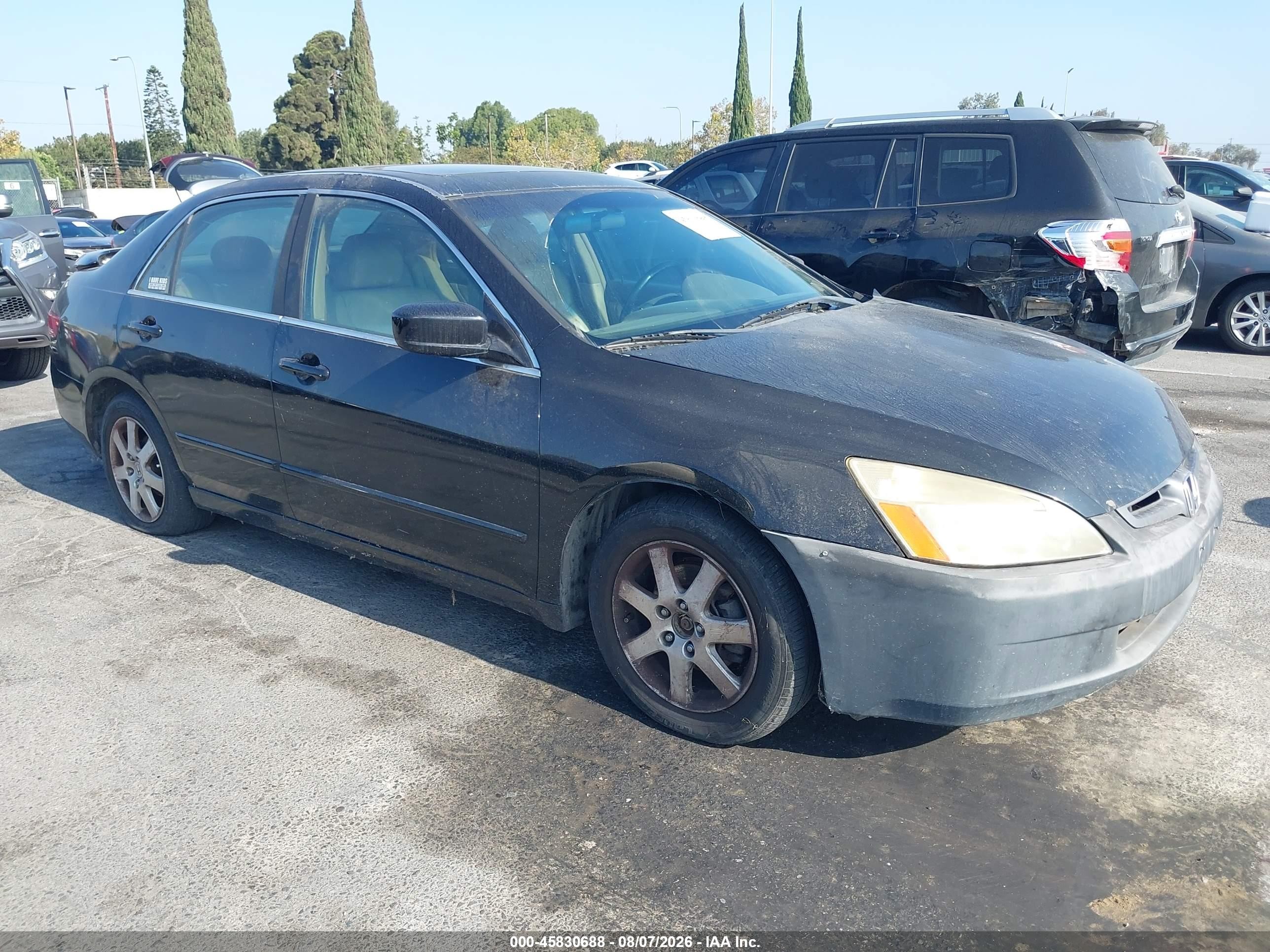 2005 Honda Accord 3.0 Ex Black vin: 1HGCM66505A073850