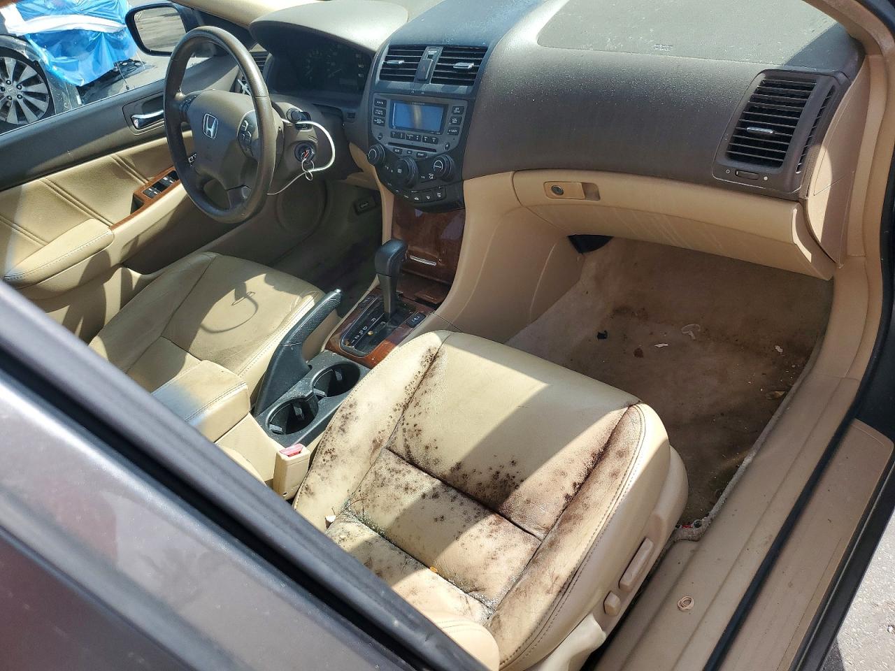 2006 Honda Accord Ex Серый vin: 1HGCM66506A044043