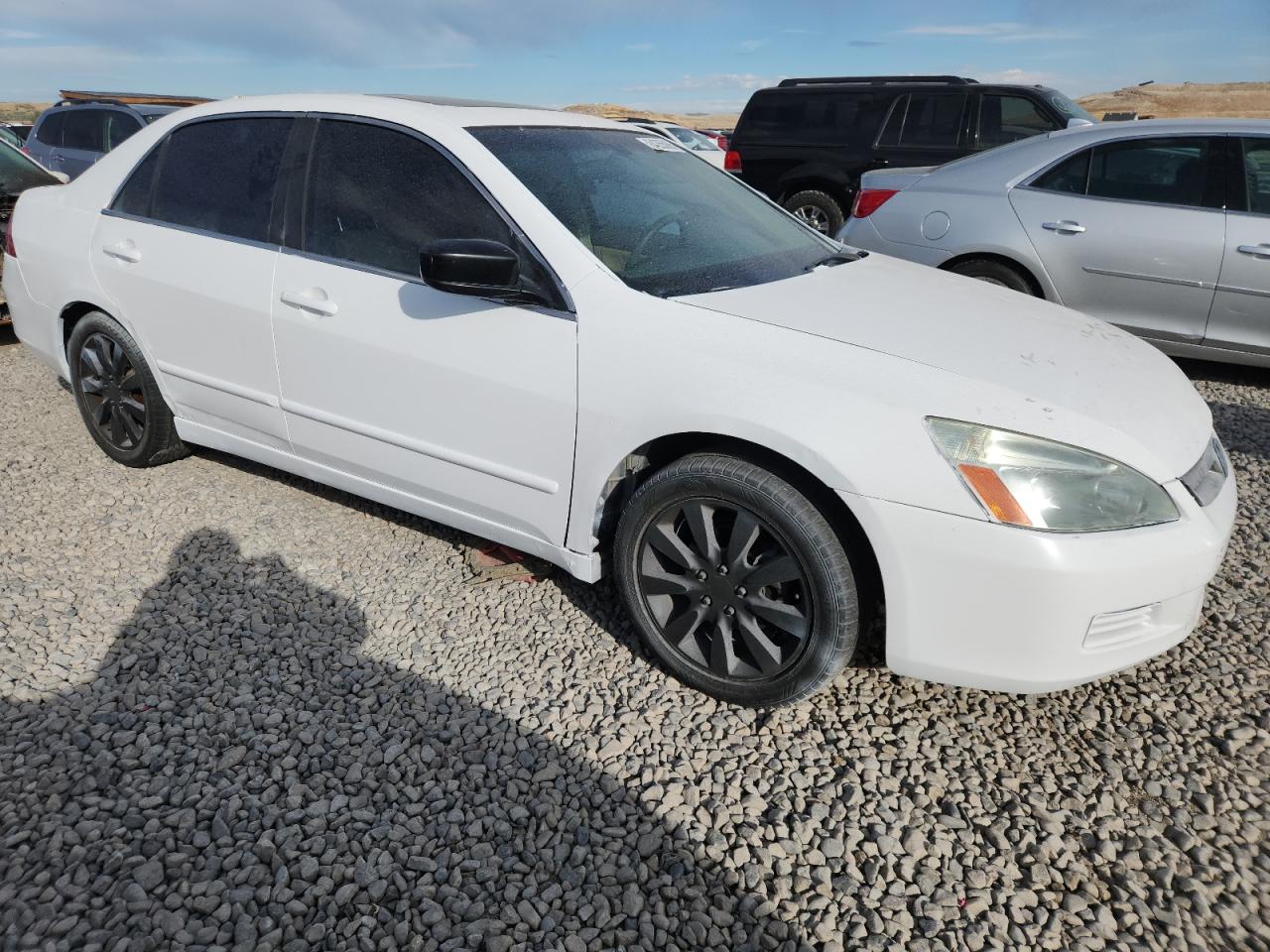 2006 Honda Accord Ex White vin: 1HGCM66506A052286