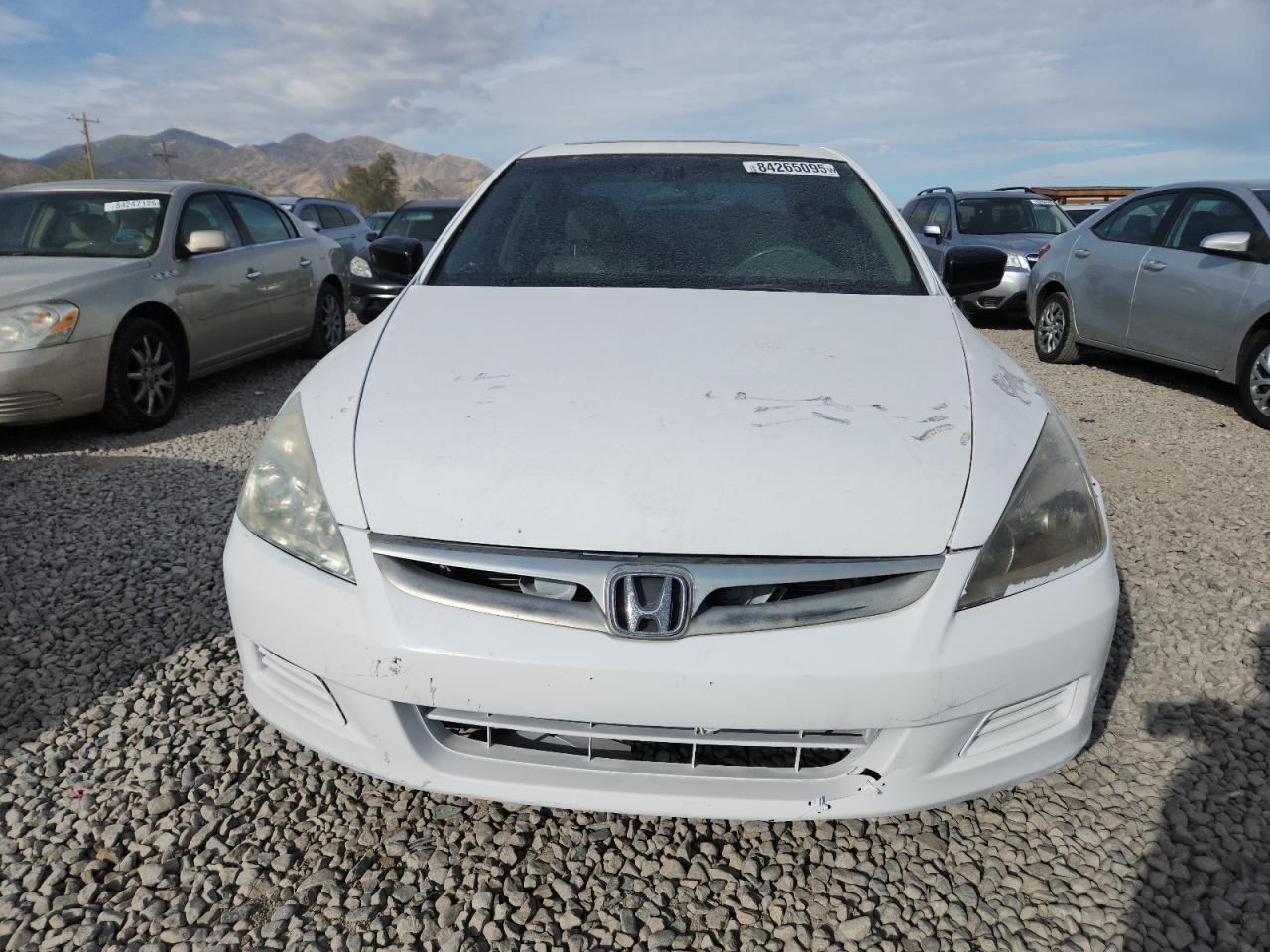 2006 Honda Accord Ex White vin: 1HGCM66506A052286