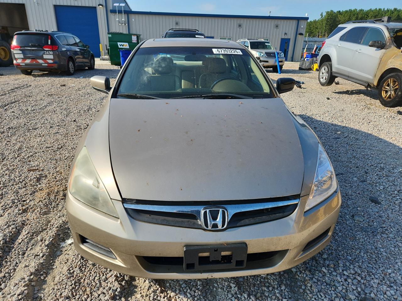 2006 Honda Accord Ex Gold vin: 1HGCM66506A061070