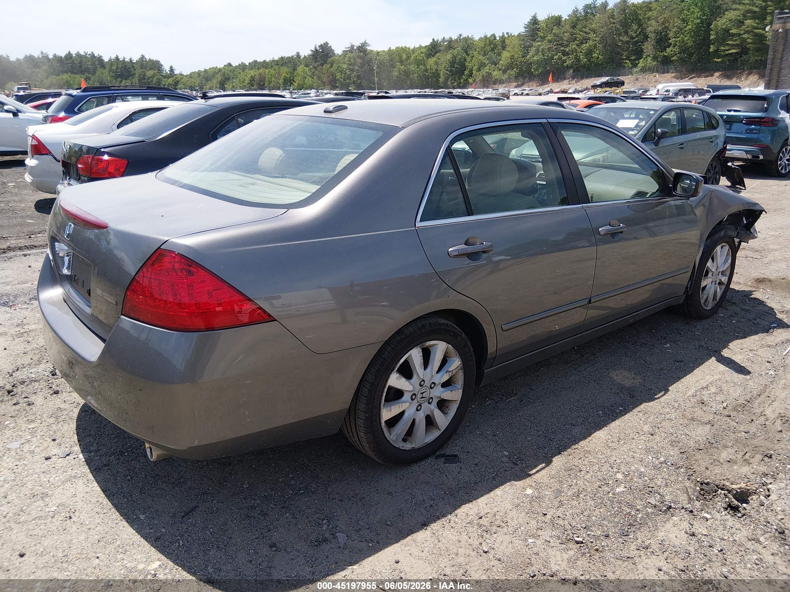 2007 Honda Accord 3.0 Ex Gray vin: 1HGCM66507A086729