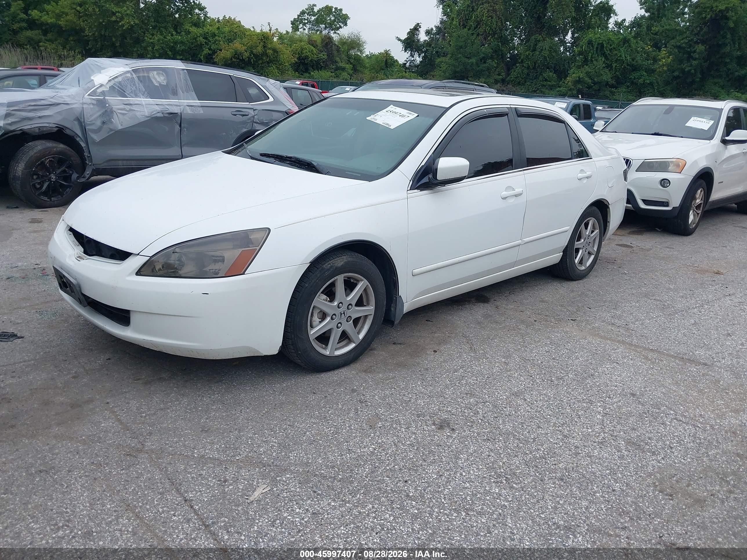 2003 Honda Accord 3.0 Ex White vin: 1HGCM66513A101040