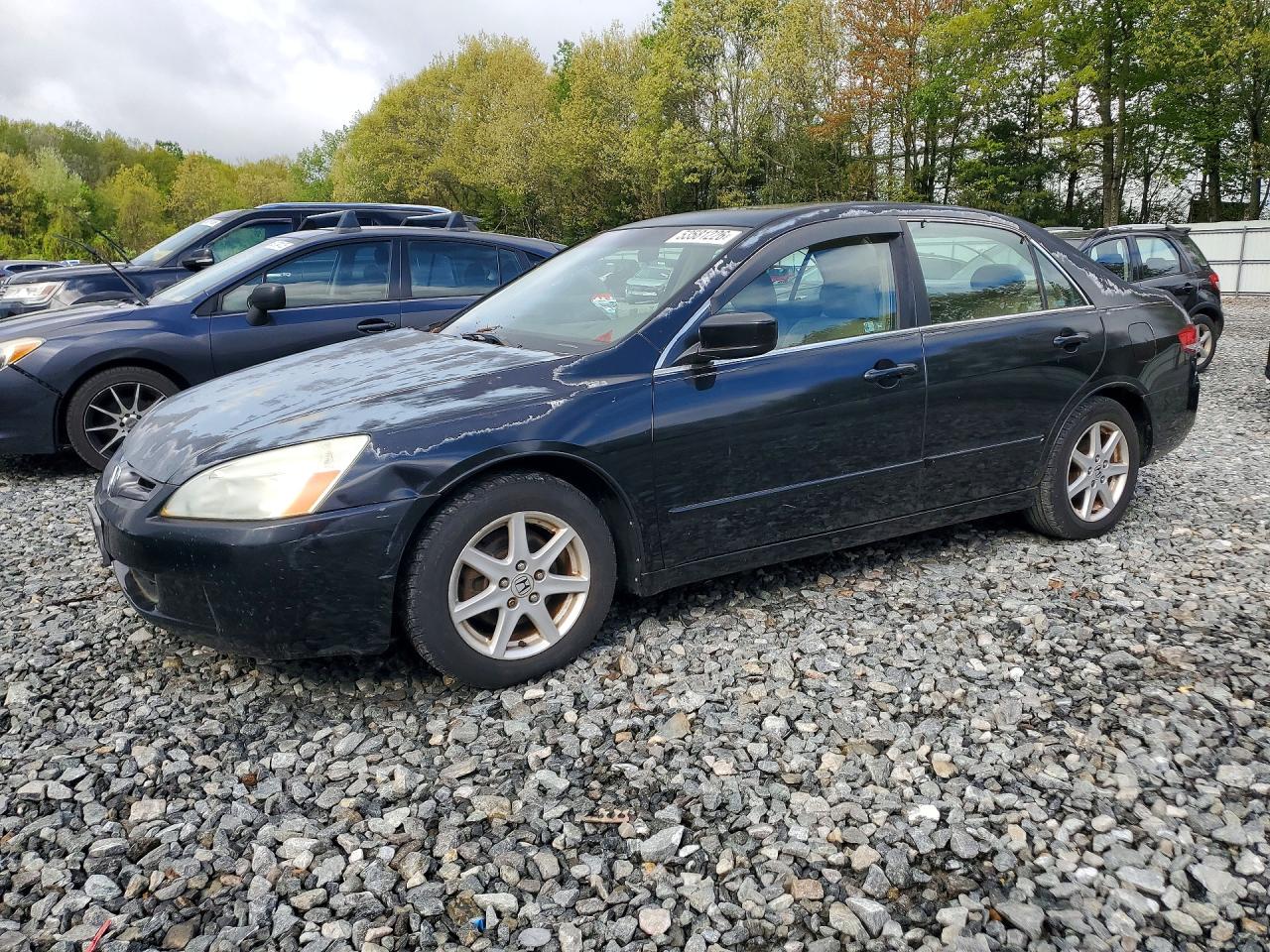 2004 Honda Accord Ex Серый vin: 1HGCM66514A017141