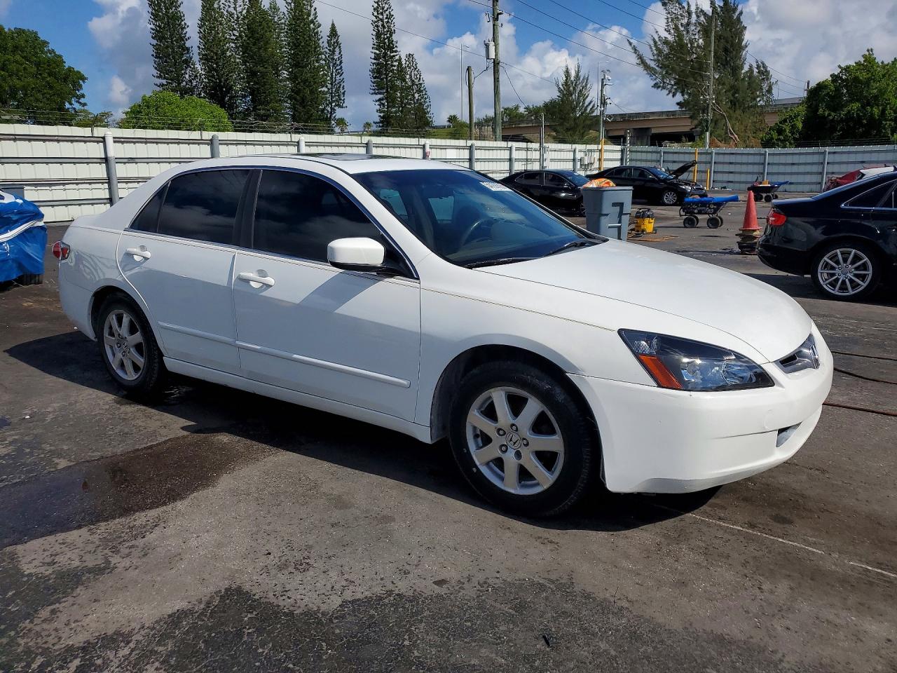 2005 Honda Accord Lx White vin: 1HGCM66515A006013