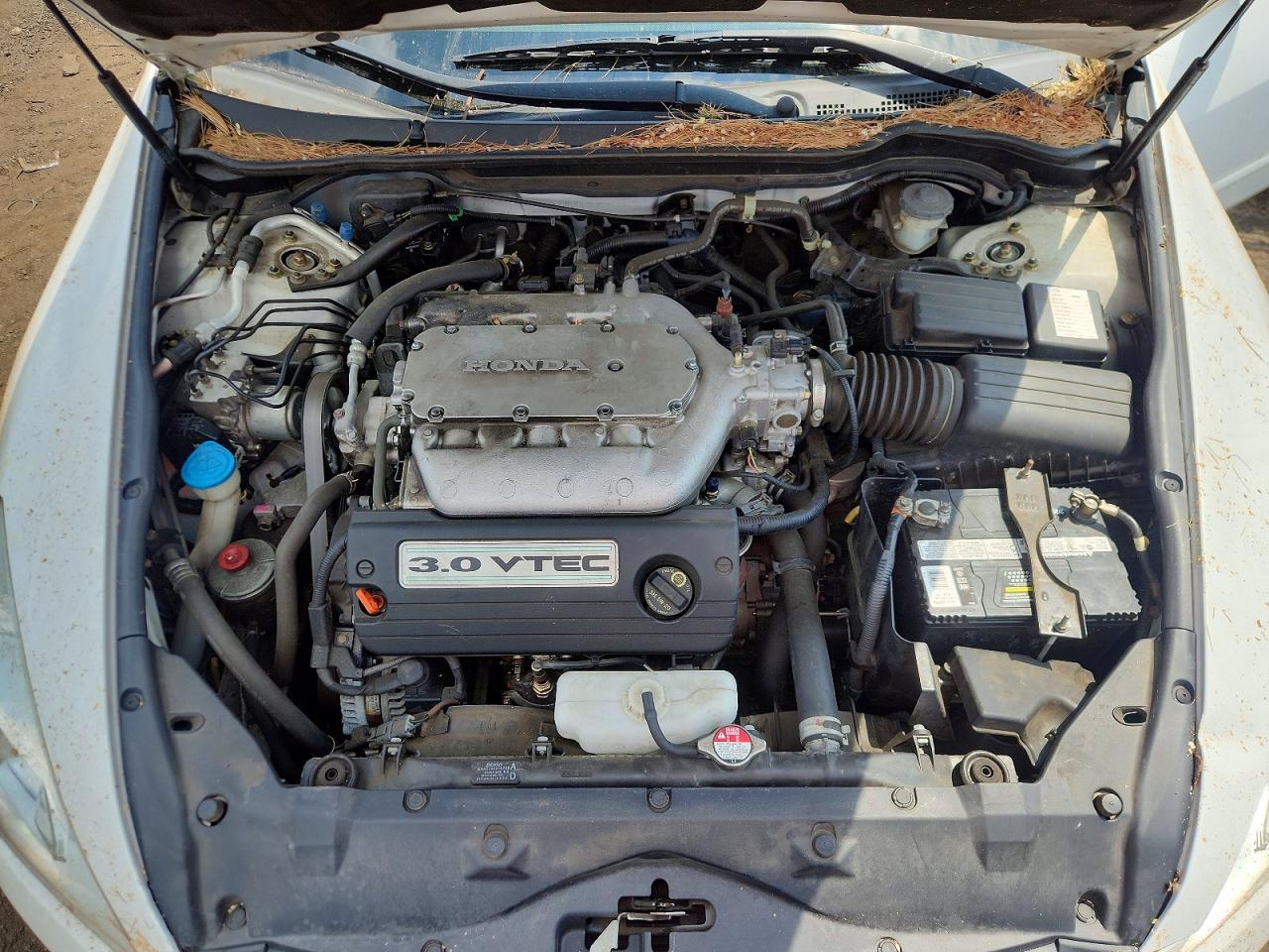 2006 Honda Accord Ex White vin: 1HGCM66516A003954