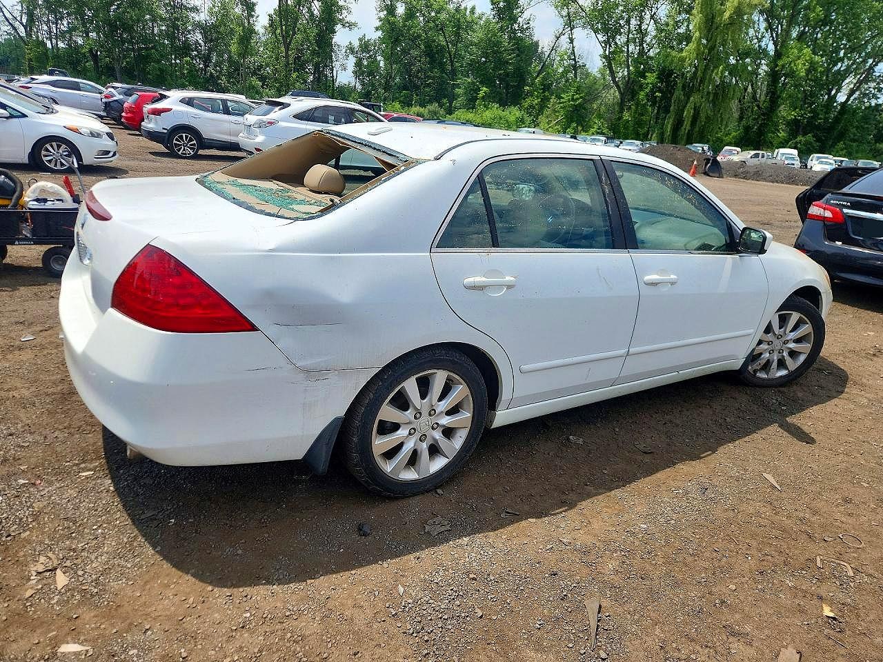 2006 Honda Accord Ex White vin: 1HGCM66516A003954