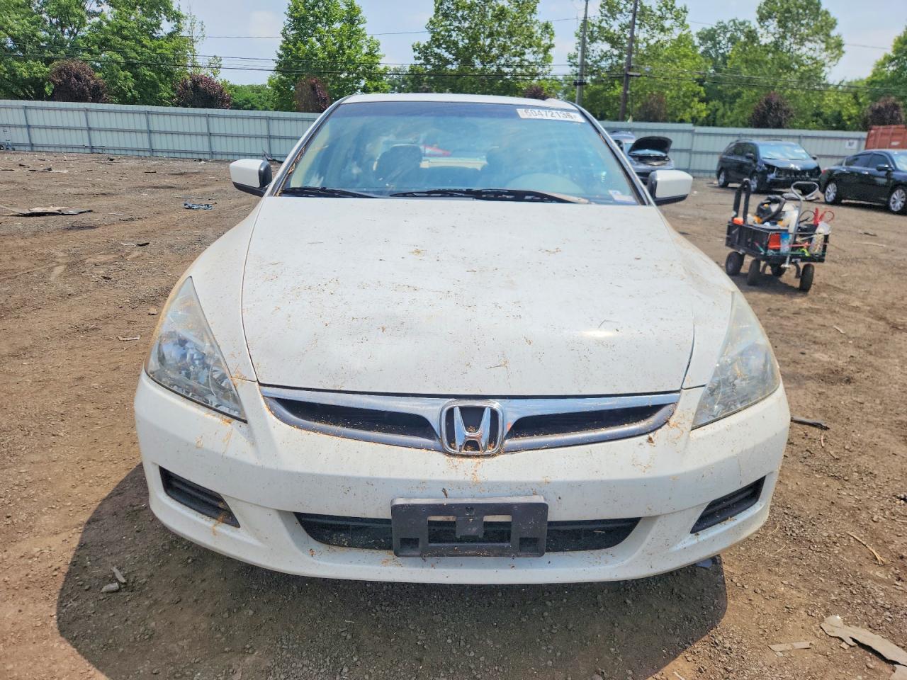 2006 Honda Accord Ex White vin: 1HGCM66516A003954
