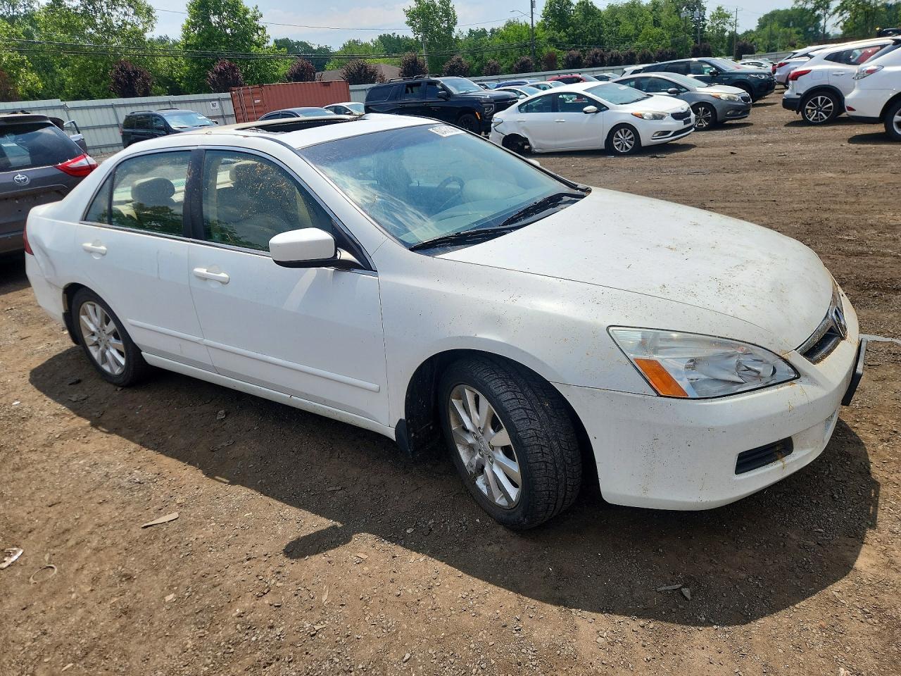 2006 Honda Accord Ex White vin: 1HGCM66516A003954