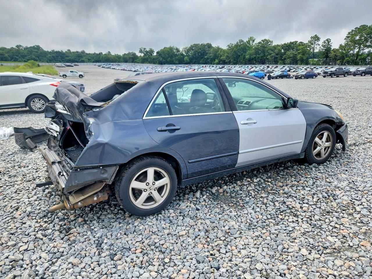 2003 Honda Accord Ex Gray vin: 1HGCM66523A000119