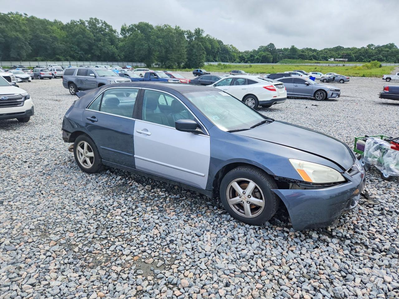 2003 Honda Accord Ex Gray vin: 1HGCM66523A000119