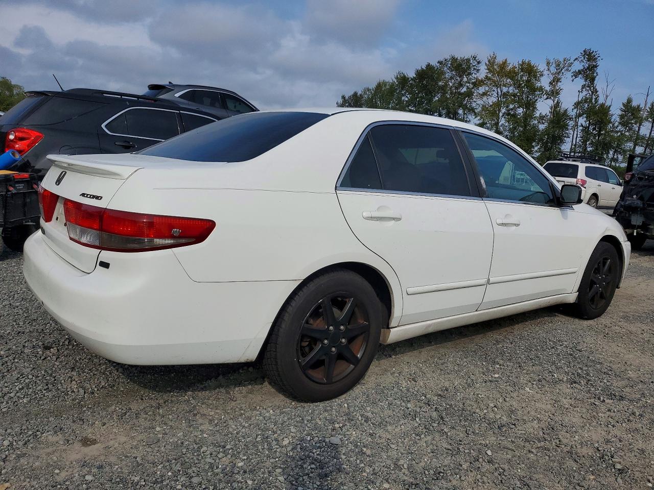 2003 Honda Accord Ex White vin: 1HGCM66523A037090