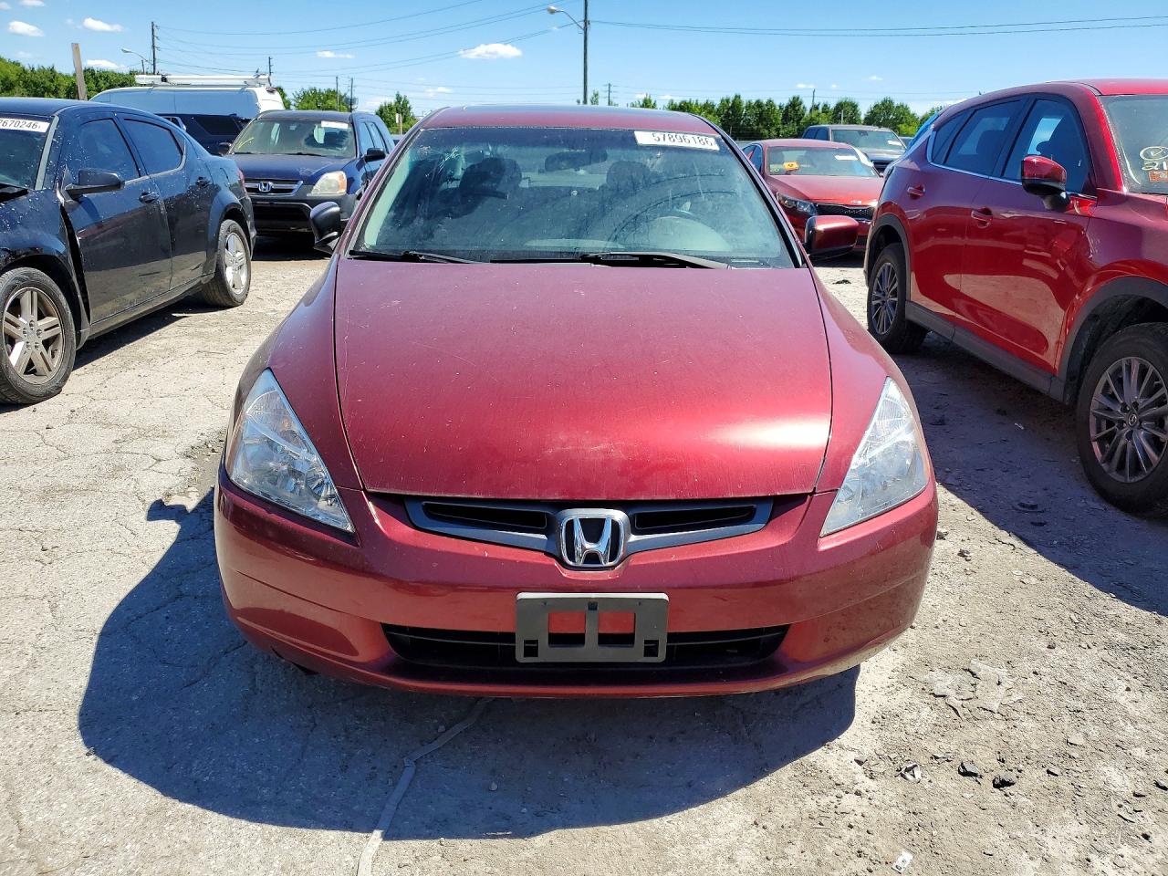 2003 Honda Accord Ex Red vin: 1HGCM66523A081848
