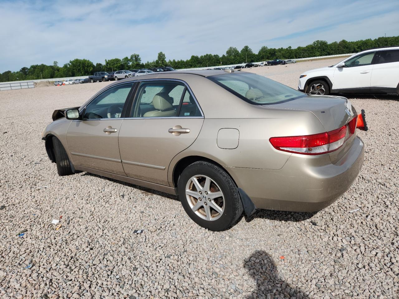 2004 Honda Accord Ex Tan vin: 1HGCM66524A045529