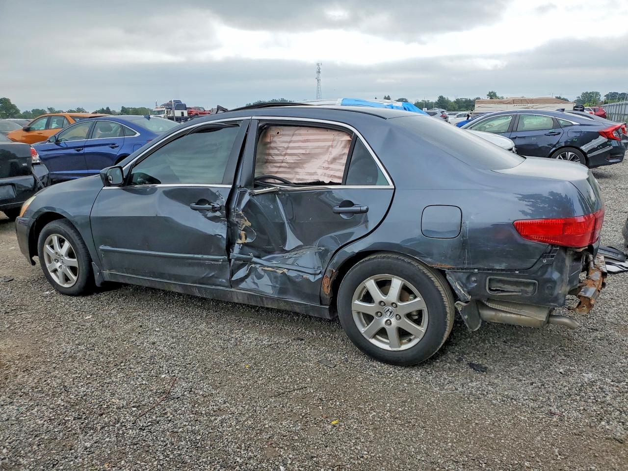 2005 Honda Accord Ex Серый vin: 1HGCM66525A804116