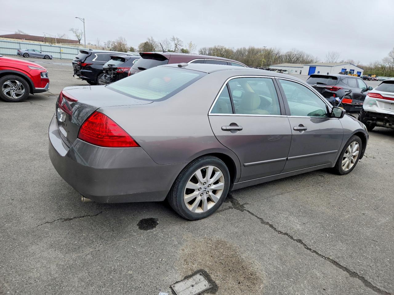 2007 Honda Accord Ex Gray vin: 1HGCM66527A068555