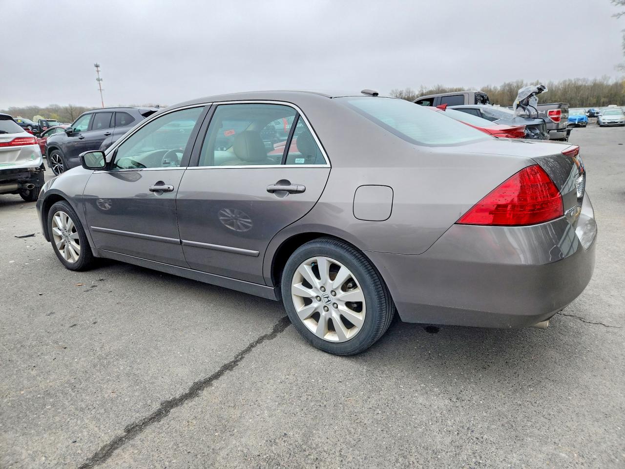 2007 Honda Accord Ex Gray vin: 1HGCM66527A068555