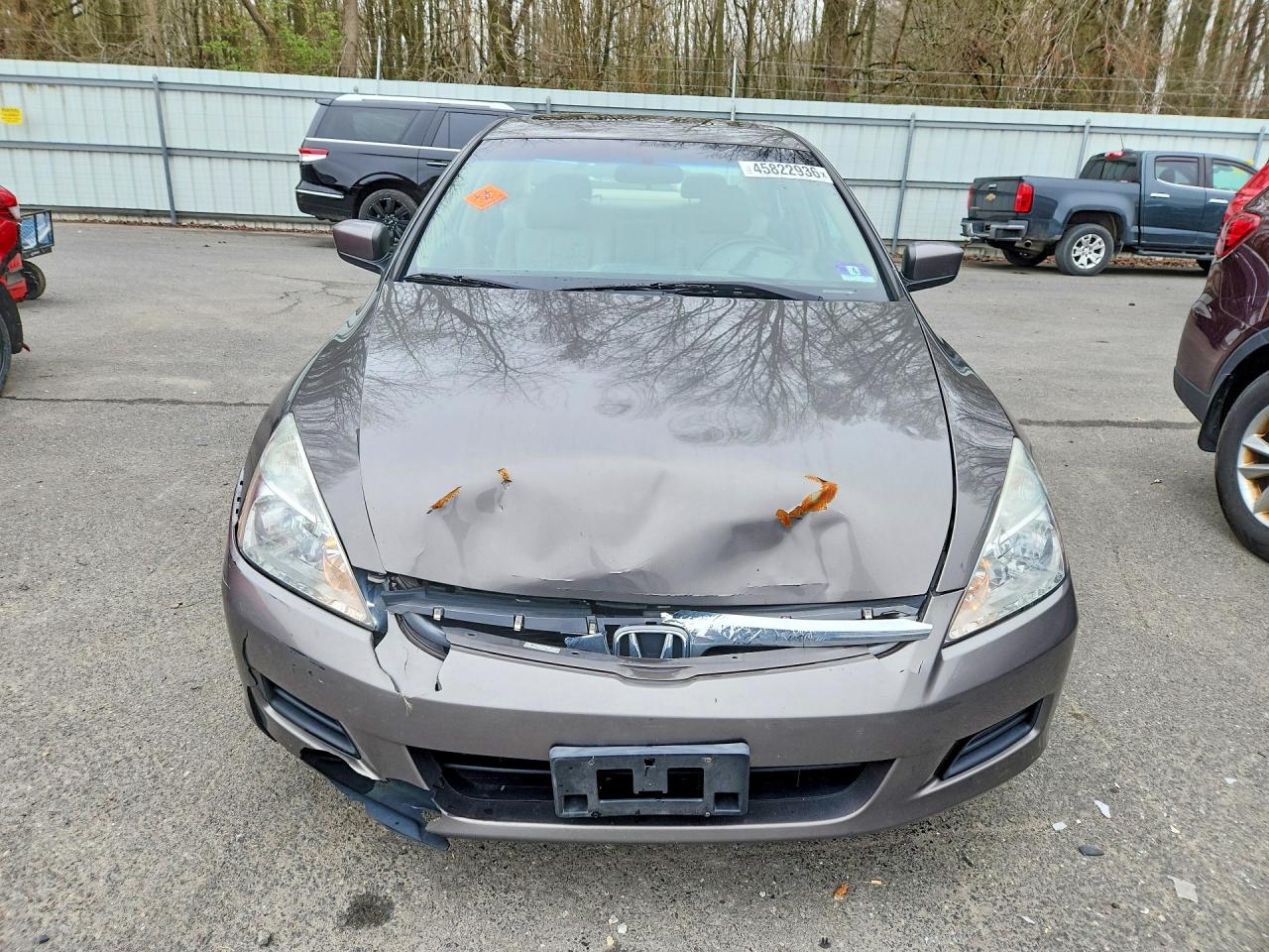 2007 Honda Accord Ex Gray vin: 1HGCM66527A068555