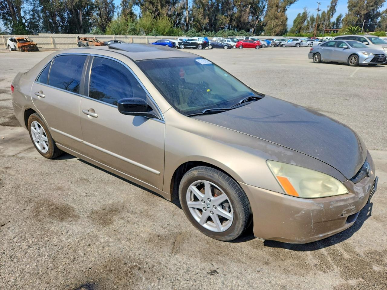 2003 Honda Accord Ex Gold vin: 1HGCM66533A071085