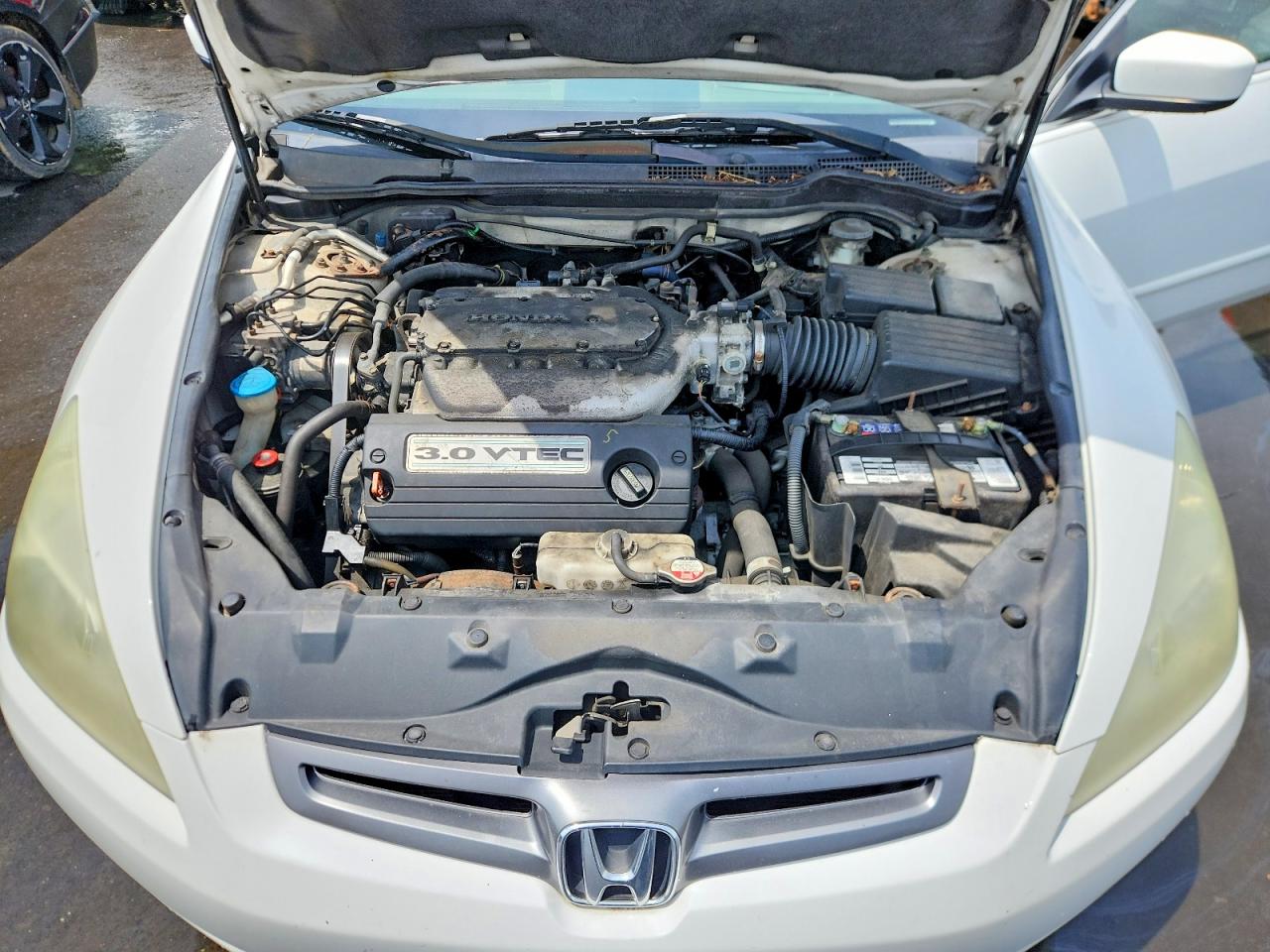2003 Honda Accord Ex White vin: 1HGCM66533A099033
