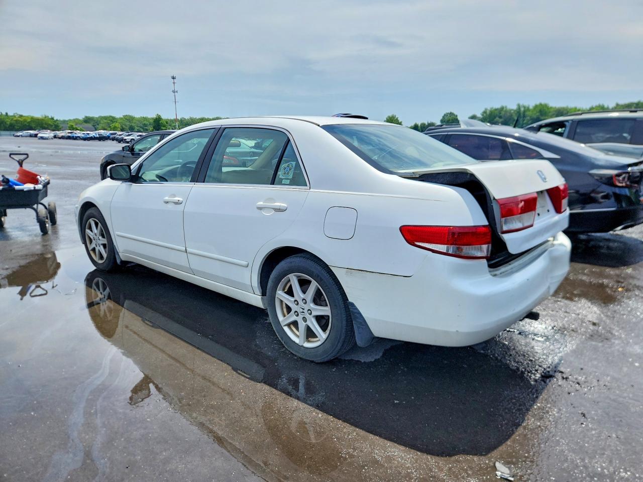 2003 Honda Accord Ex White vin: 1HGCM66533A099033
