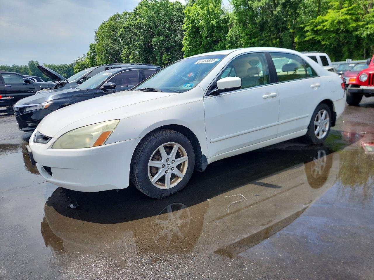 2003 Honda Accord Ex White vin: 1HGCM66533A099033