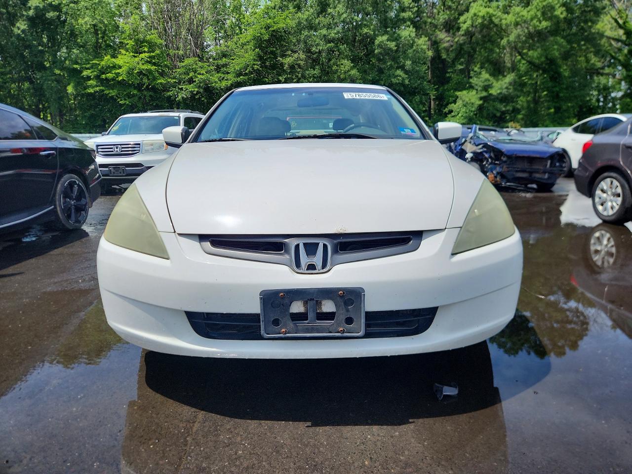 2003 Honda Accord Ex White vin: 1HGCM66533A099033