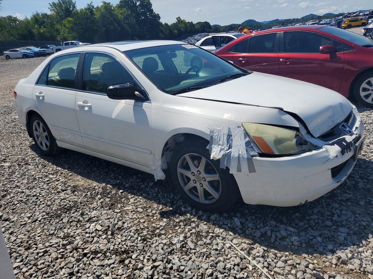 2004 Honda Accord Ex White vin: 1HGCM66534A002804