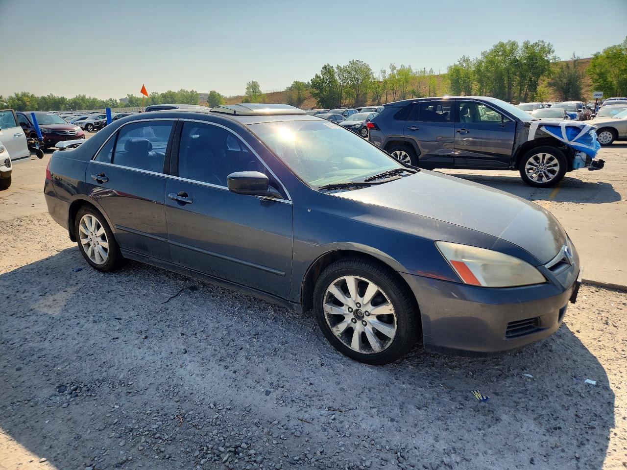 2006 Honda Accord Ex Черный vin: 1HGCM66536A012803