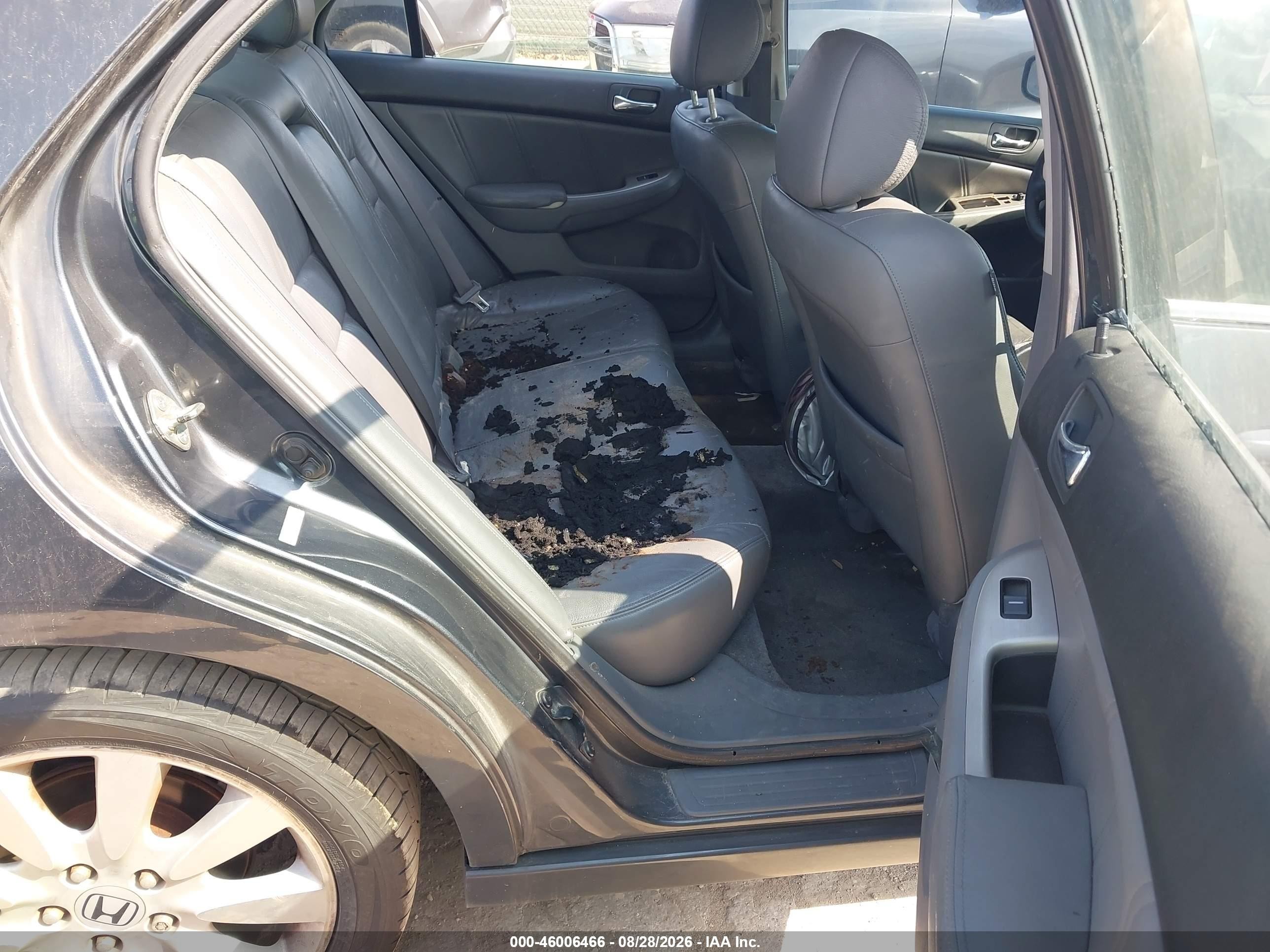 2007 Honda Accord 3.0 Ex Gray vin: 1HGCM66537A056513