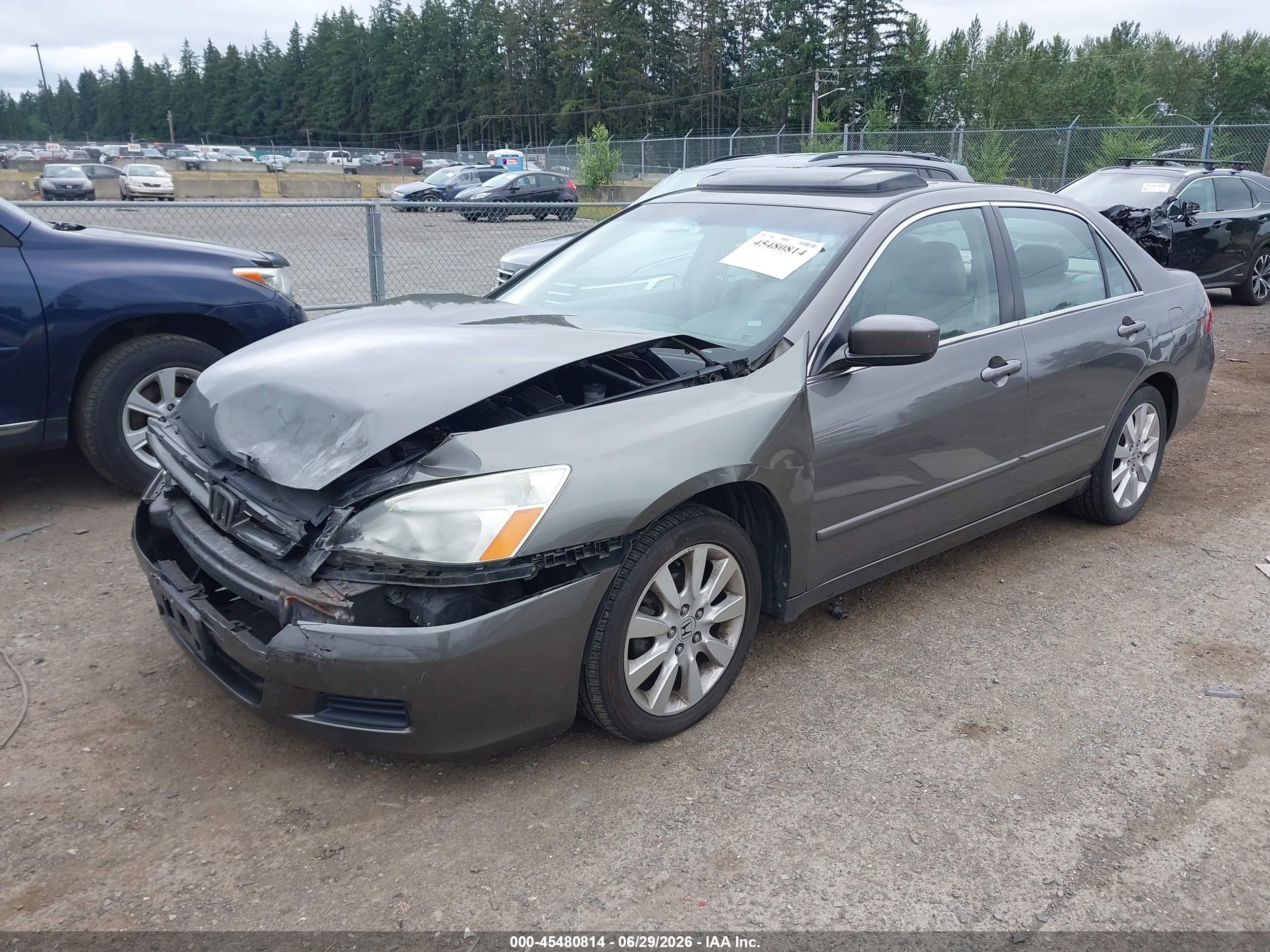 2007 Honda Accord 3.0 Ex Gray vin: 1HGCM66537A077779