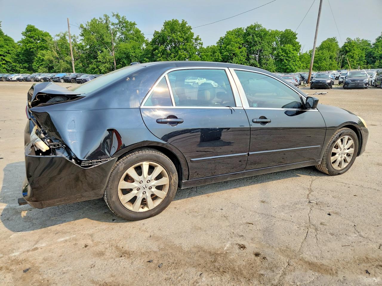 2007 Honda Accord Ex Black vin: 1HGCM66537A085591