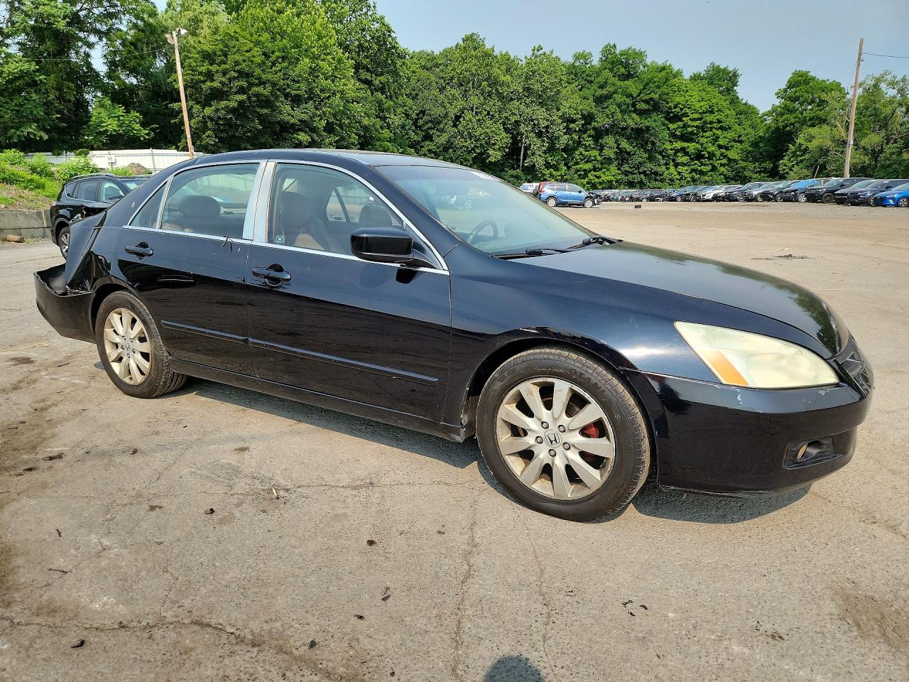 2007 Honda Accord Ex Black vin: 1HGCM66537A085591