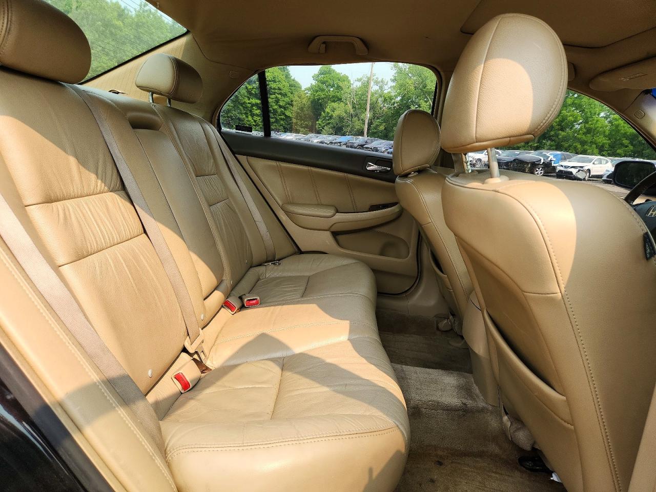 2007 Honda Accord Ex Black vin: 1HGCM66537A085591